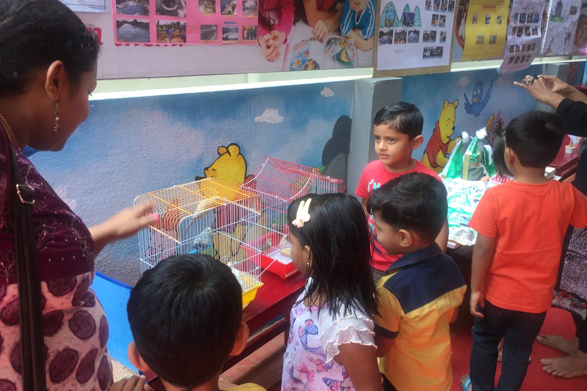 Beginners Bench Pre-school & Day care Mysore