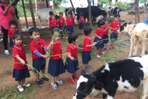 Beginners Bench Pre-school & Day care Mysore