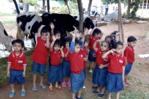 Beginners Bench Pre-school & Day care Mysore